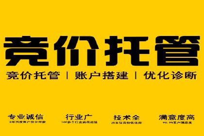 社交媒体平台信息流广告的精准投放案例